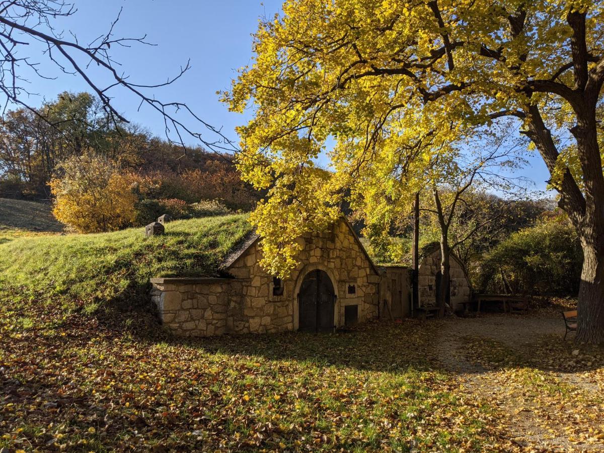 Bonito - Historischer Streckhof Villa Schuetzen am Gebirge ภายนอก รูปภาพ